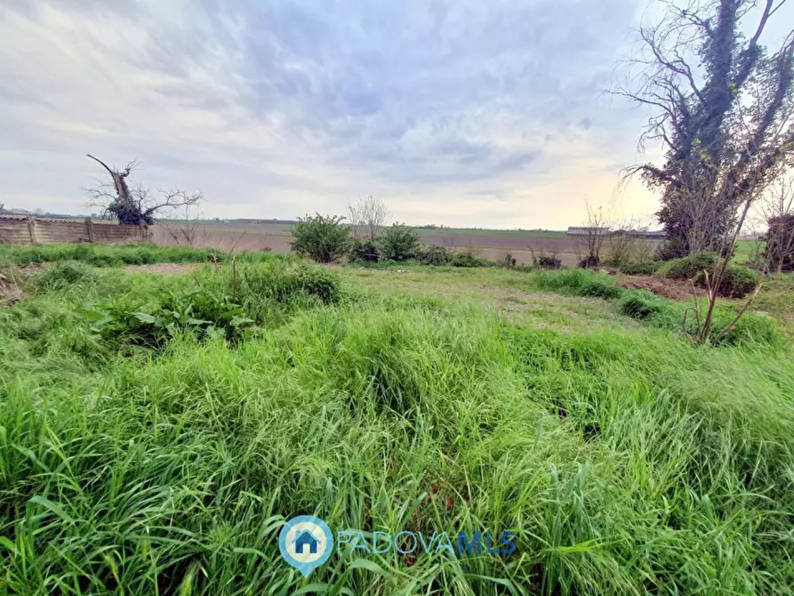 Immagine 10 di Casa bifamiliare in vendita  in Via Valchiesa a Pozzonovo