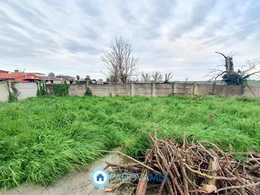 Immagine 11 di Casa bifamiliare in vendita  in Via Valchiesa a Pozzonovo