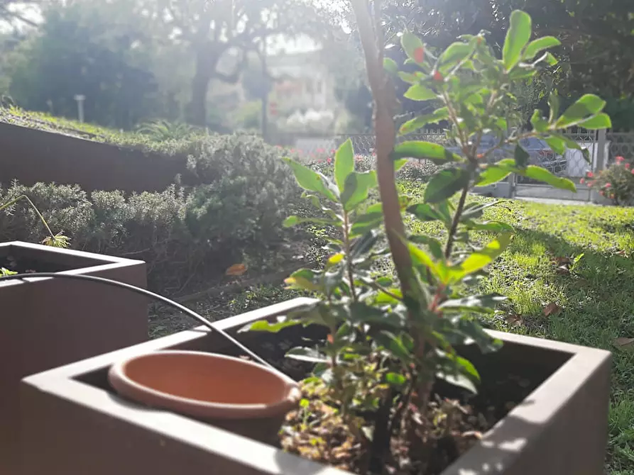 Immagine 1 di Casa bifamiliare in vendita  in Via Fasolo a Montegrotto Terme