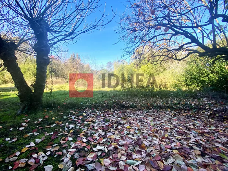 Immagine 24 di Casa indipendente in vendita  in Via Torre d'Orlando a Treviso