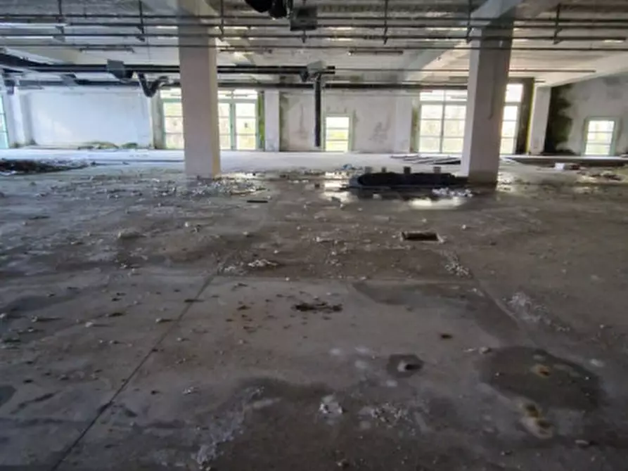 Immagine 15 di Capannone industriale in vendita  in Strada Marecchiese 1 a Pennabilli