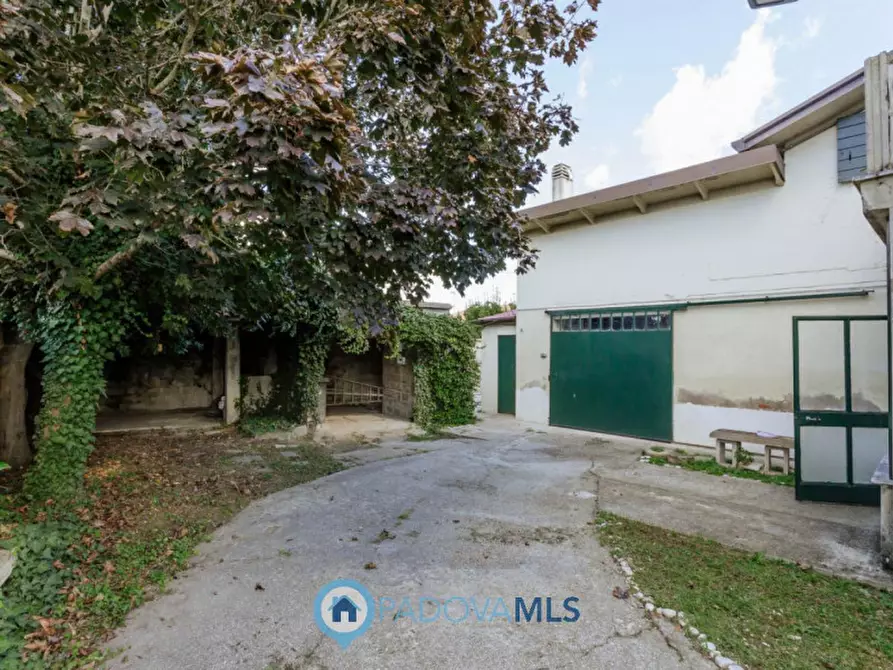 Immagine 6 di Casa indipendente in vendita  in Via Martiri della libertà a Agna