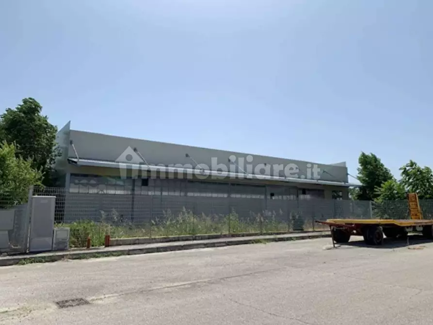 Immagine 1 di Capannone industriale in vendita  in contrada Cesuna snc a Cugnoli