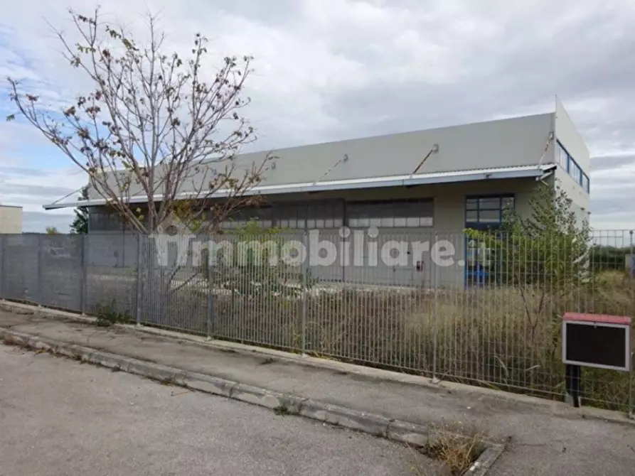 Immagine 2 di Capannone industriale in vendita  in contrada Cesuna snc a Cugnoli