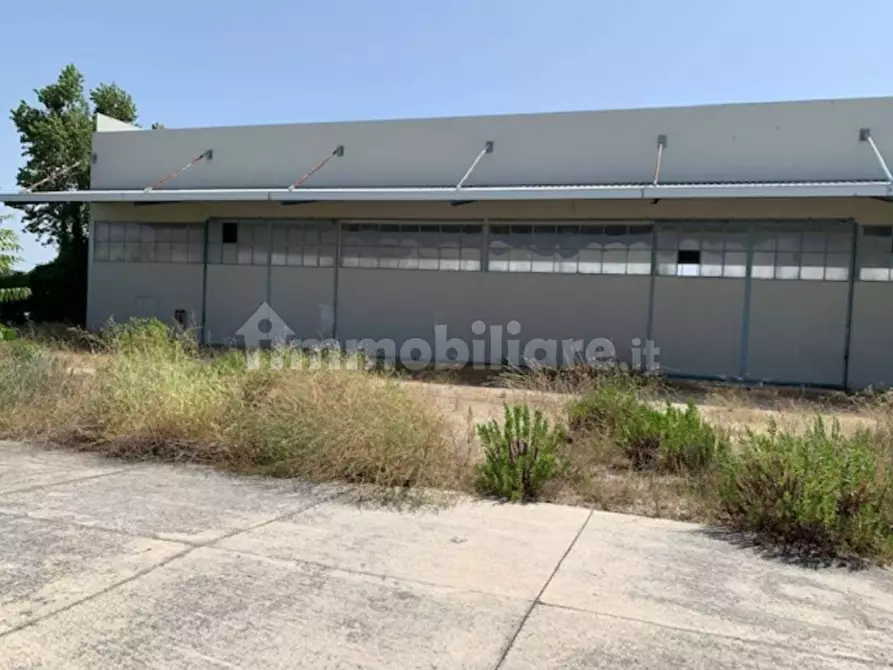 Immagine 3 di Capannone industriale in vendita  in contrada Cesuna snc a Cugnoli