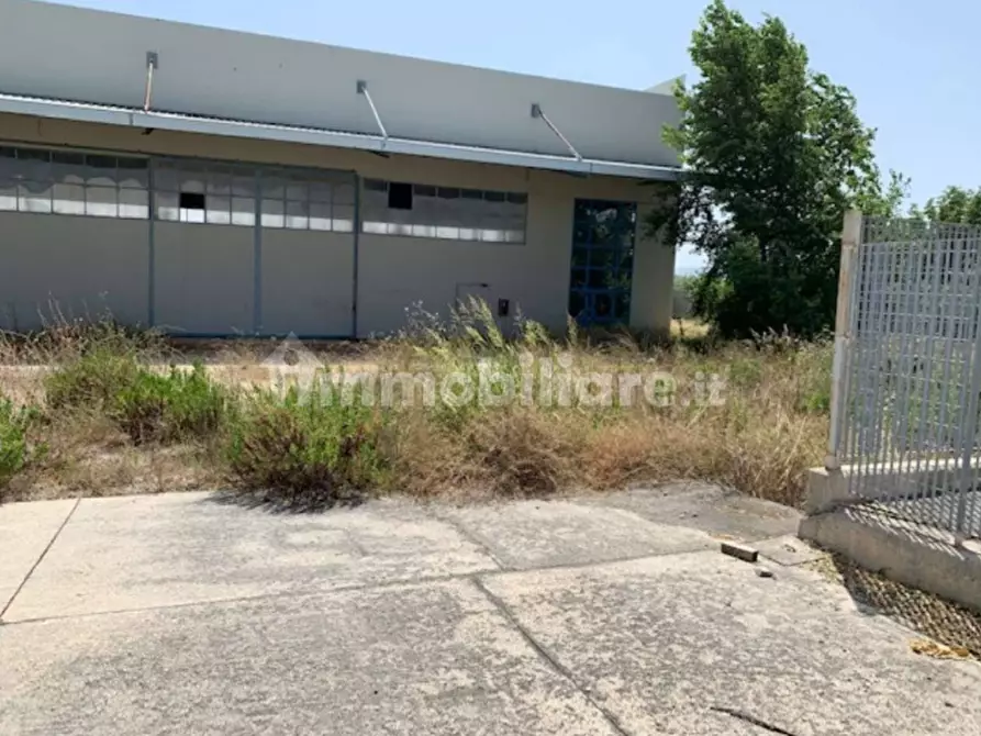 Immagine 14 di Capannone industriale in vendita  in contrada Cesuna snc a Cugnoli