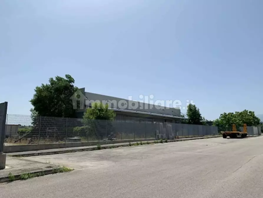 Immagine 15 di Capannone industriale in vendita  in contrada Cesuna snc a Cugnoli