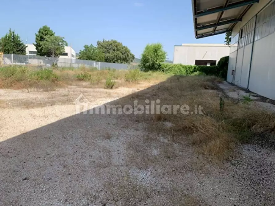Immagine 18 di Capannone industriale in vendita  in contrada Cesuna snc a Cugnoli