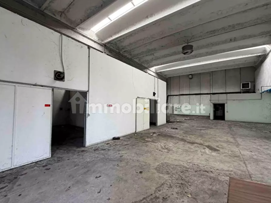 Immagine 9 di Capannone industriale in vendita  in strada regionale 211 a Borgolavezzaro