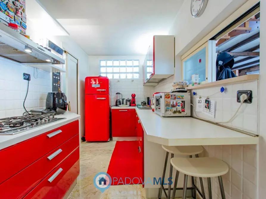 Immagine 19 di Casa indipendente in vendita  in Via Broglio a Solesino