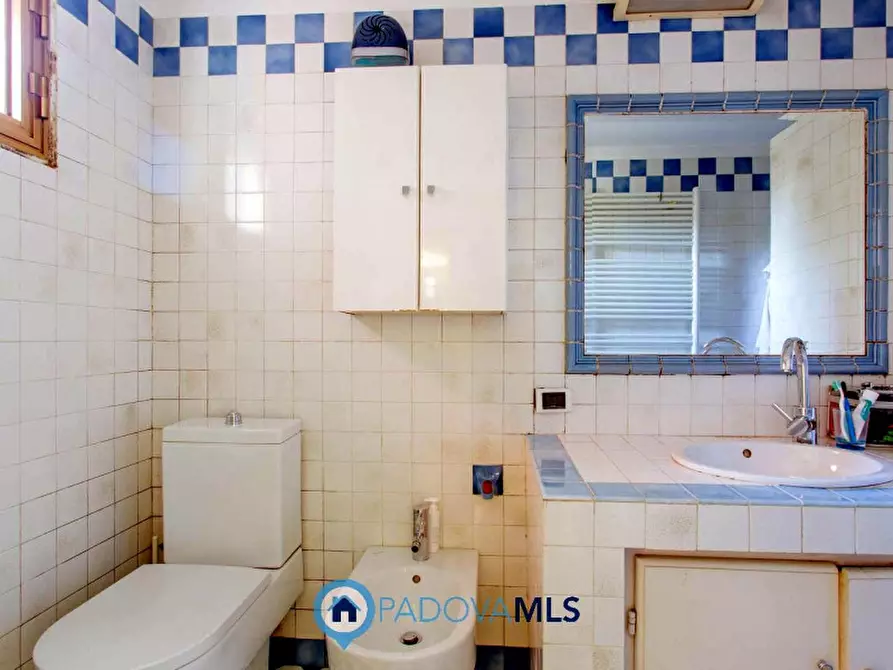 Immagine 22 di Casa indipendente in vendita  in Via Broglio a Solesino