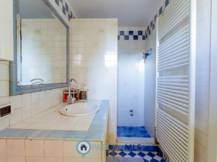 Immagine 23 di Casa indipendente in vendita  in Via Broglio a Solesino