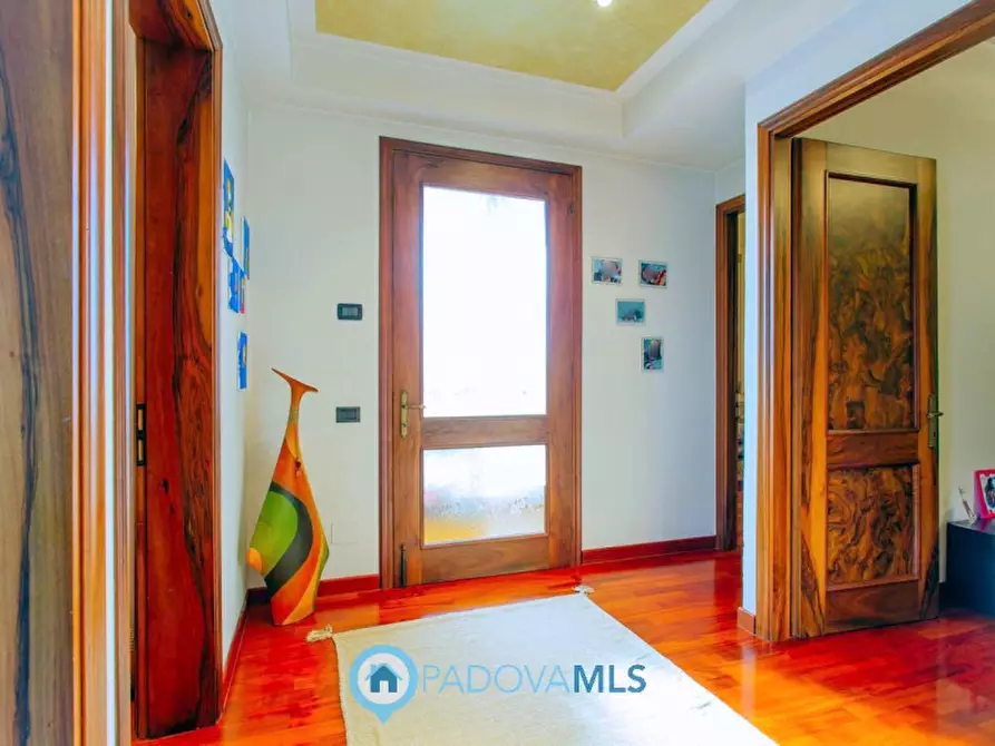 Immagine 30 di Casa indipendente in vendita  in Via Broglio a Solesino