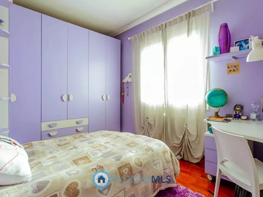 Immagine 34 di Casa indipendente in vendita  in Via Broglio a Solesino