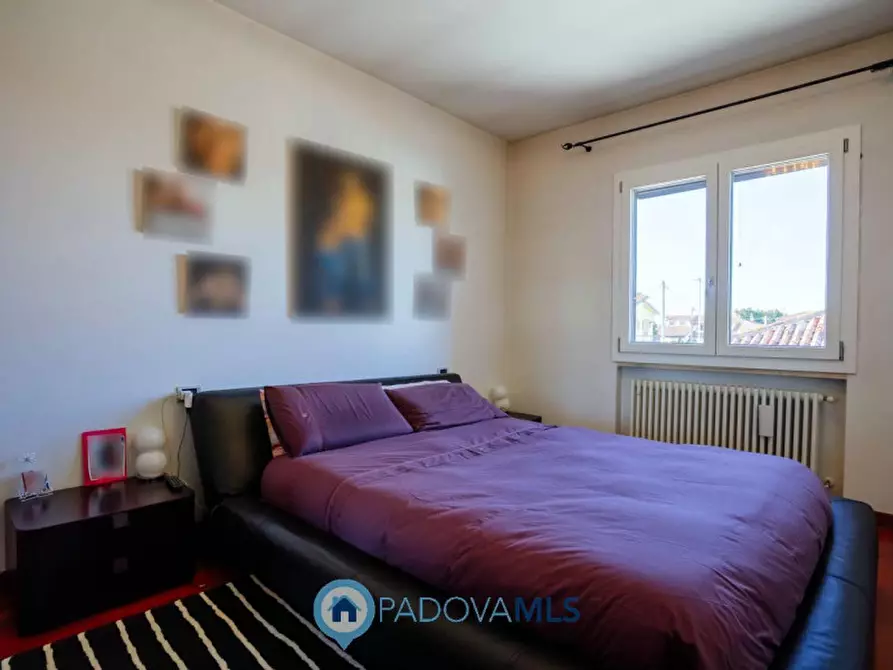 Immagine 37 di Casa indipendente in vendita  in Via Broglio a Solesino