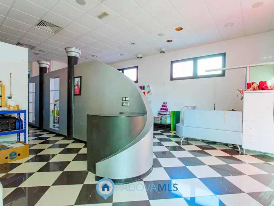 Immagine 43 di Casa indipendente in vendita  in Via Broglio a Solesino