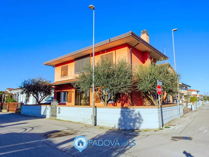 Immagine 46 di Casa indipendente in vendita  in Via Broglio a Solesino