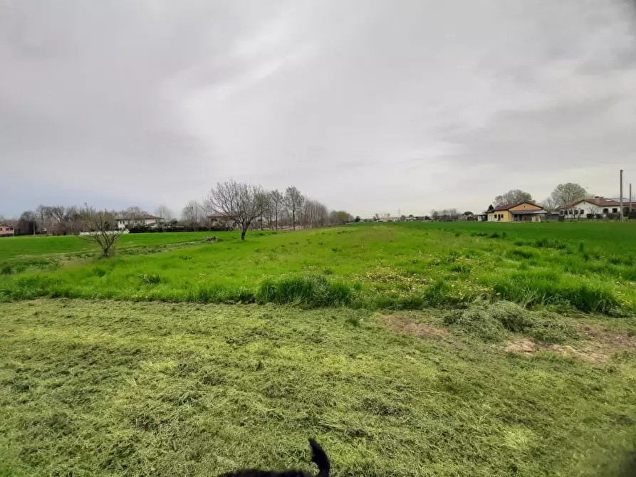 Immagine 2 di Terreno in vendita  in Via Malpaga a Mira