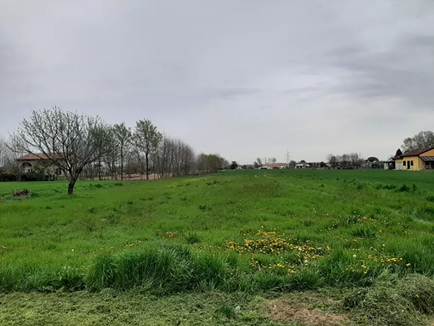 Immagine 3 di Terreno in vendita  in Via Malpaga a Mira