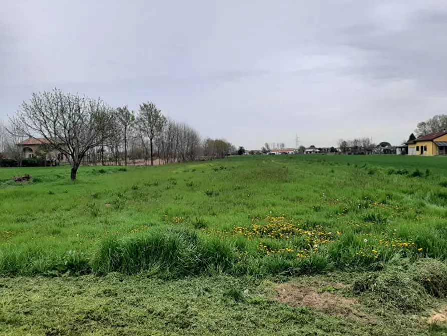 Immagine 4 di Terreno in vendita  in Via Malpaga a Mira