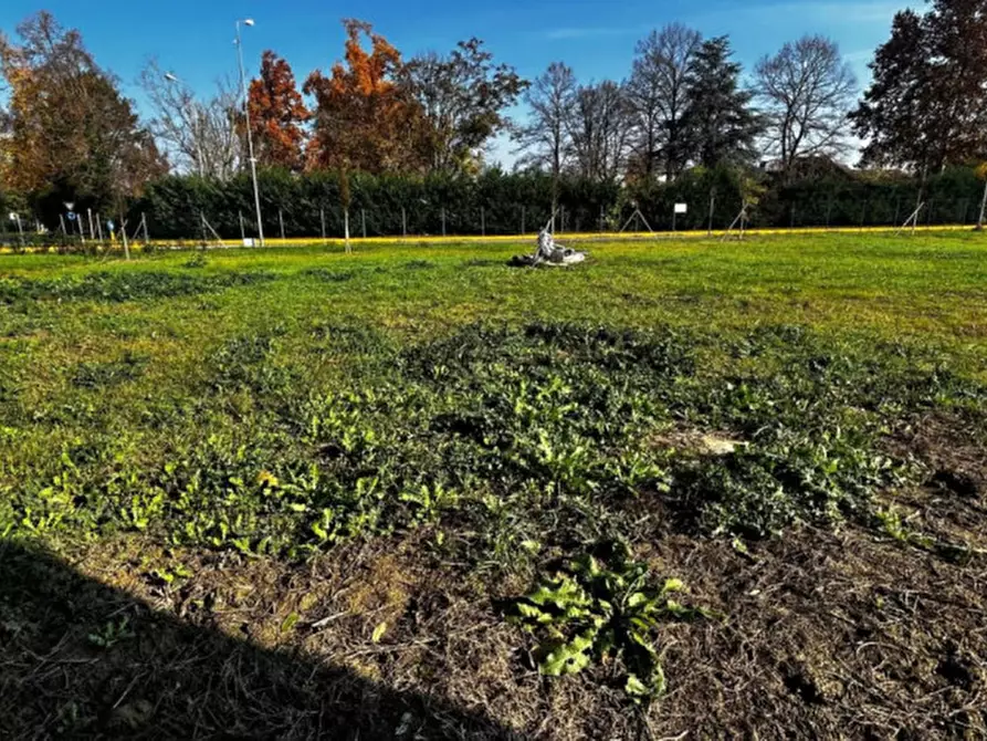 Immagine 4 di Casa trifamiliare in vendita  in Via Guglielmo Marconi a Cavezzo