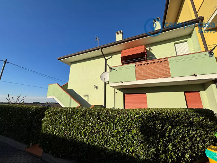 Immagine 3 di Appartamento in vendita  a Villamarzana