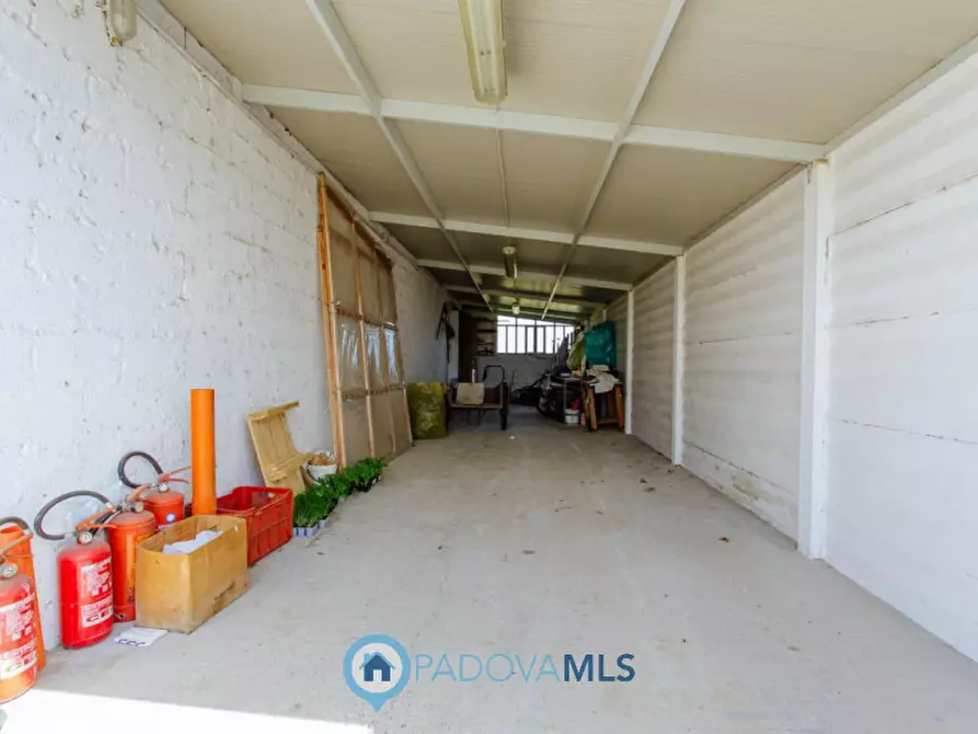 Immagine 21 di Casa indipendente in vendita  in Via Cornoledo a Pernumia