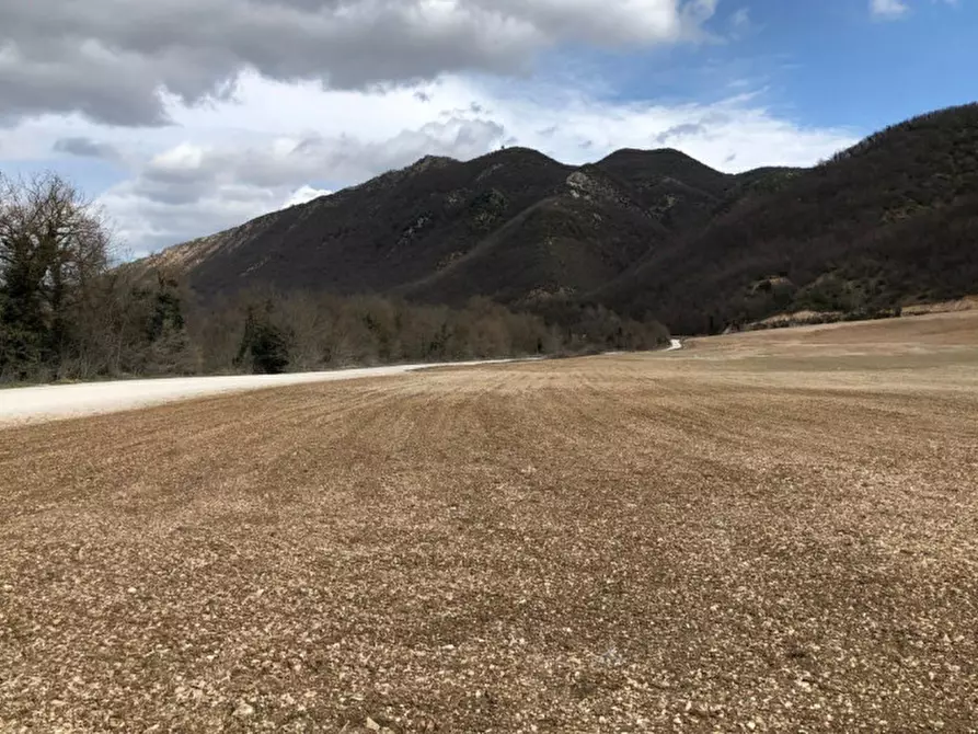 Immagine 5 di Terreno in vendita  in Loc. Smirra - Via Flaminia Nord – SP 3, N. snc a Cagli