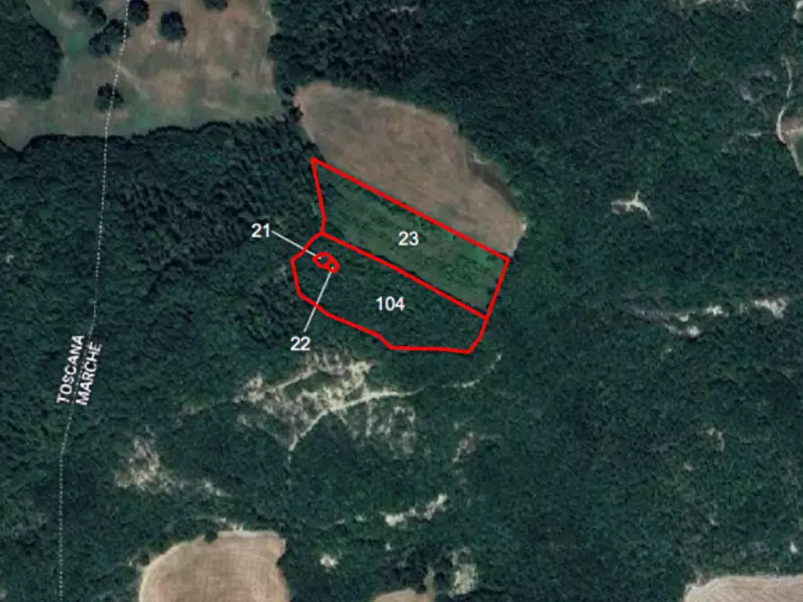 Immagine 1 di Terreno in vendita  in Strada Provinciale Sestinese, Carpegna PU, Italia a Carpegna