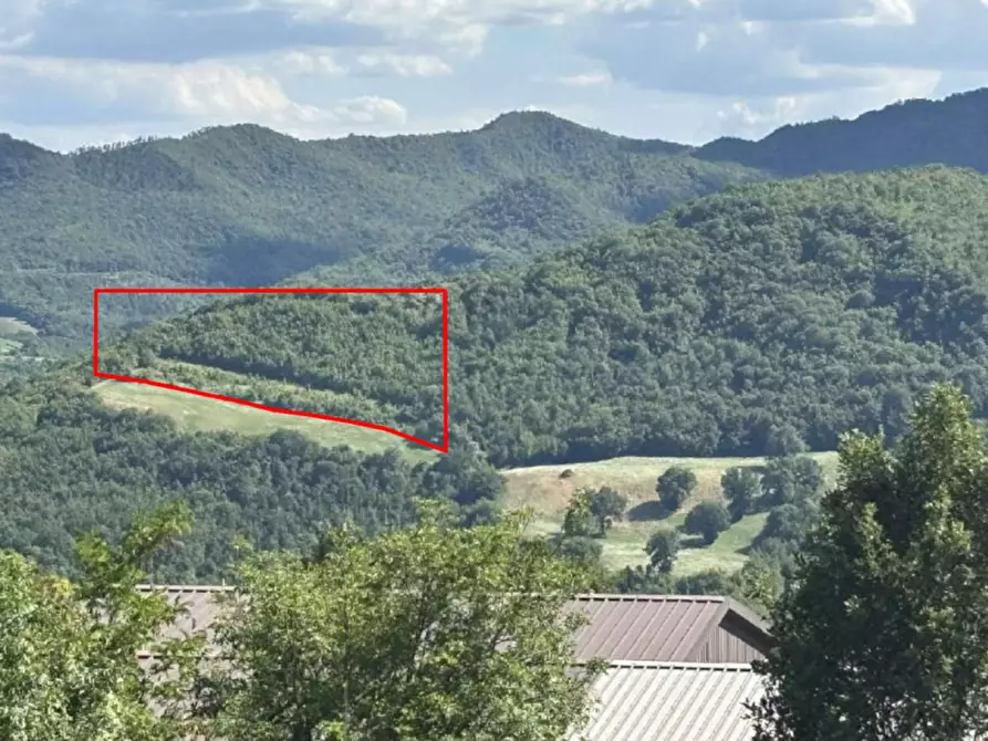 Immagine 3 di Terreno in vendita  in Strada Provinciale Sestinese, Carpegna PU, Italia a Carpegna