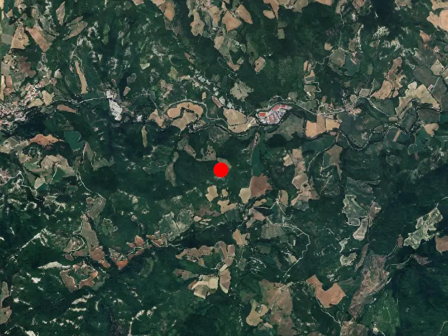 Immagine 7 di Terreno in vendita  in Strada Provinciale Sestinese, Carpegna PU, Italia a Carpegna