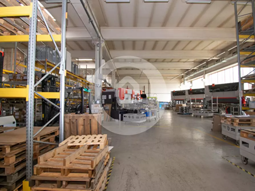Immagine 2 di Capannone industriale in vendita  a San Giorgio Delle Pertiche