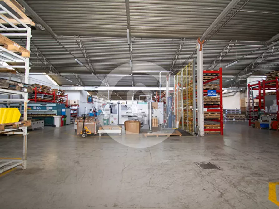 Immagine 3 di Capannone industriale in vendita  a San Giorgio Delle Pertiche