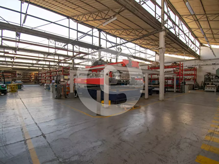 Immagine 4 di Capannone industriale in vendita  a San Giorgio Delle Pertiche