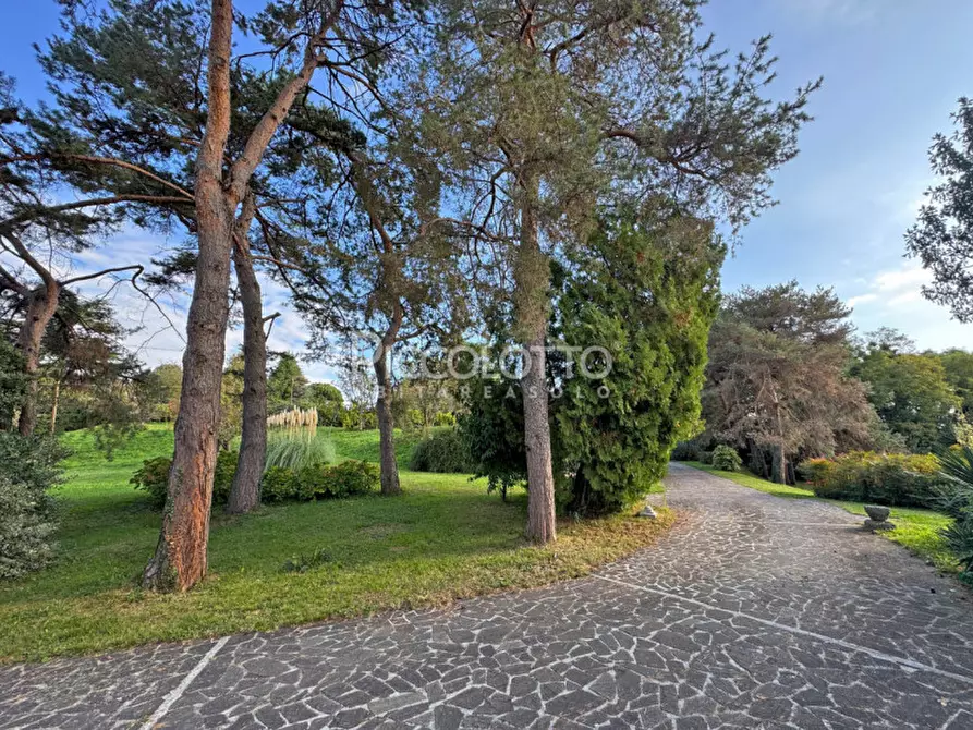 Immagine 6 di Villa in vendita  in via Mercato Vecchio a Montebelluna