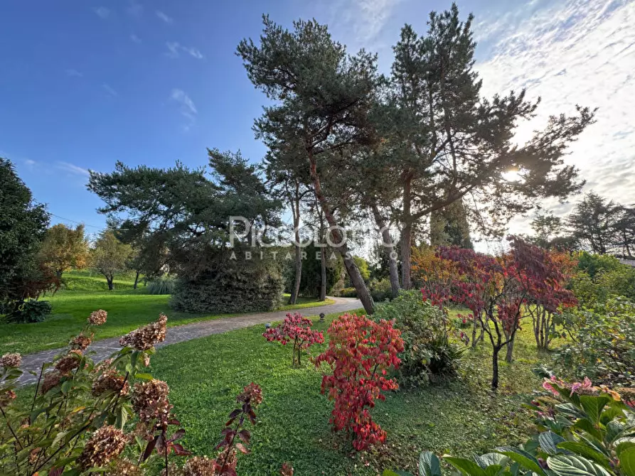 Immagine 7 di Villa in vendita  in via Mercato Vecchio a Montebelluna