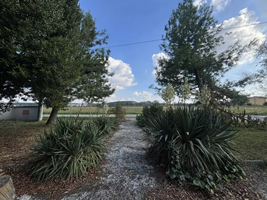 Immagine 9 di Casa indipendente in vendita  in Strada Chiesa di Castelnovo 20 a Parma