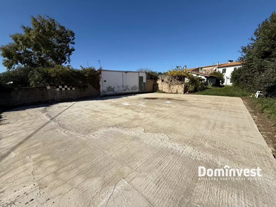 Immagine 3 di Villa in vendita  in Strada del trentatre a Capalbio