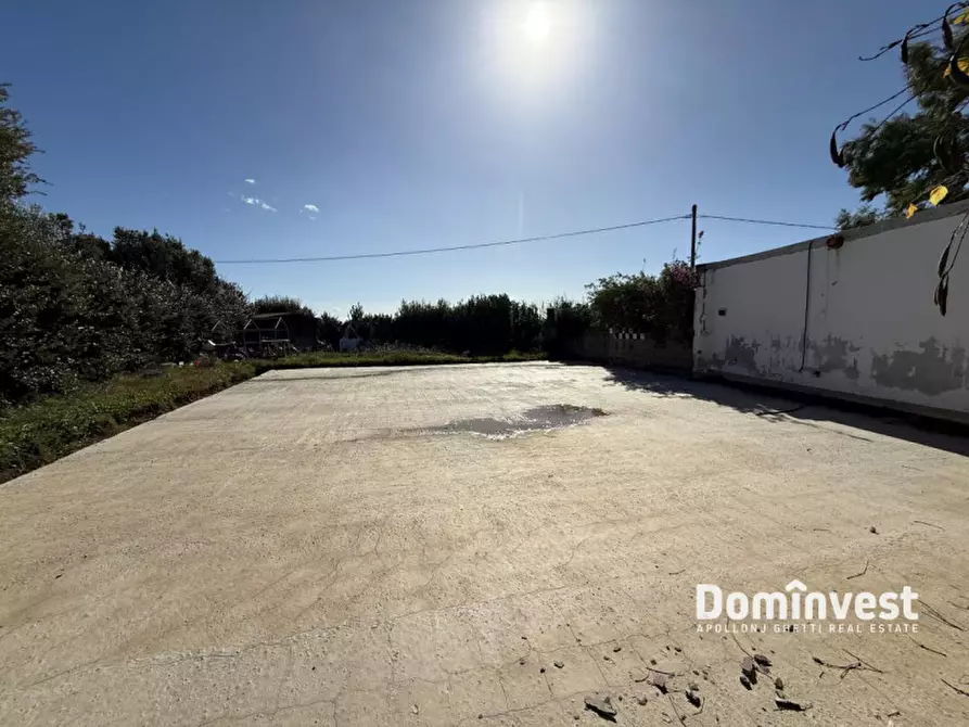 Immagine 5 di Villa in vendita  in Strada del trentatre a Capalbio