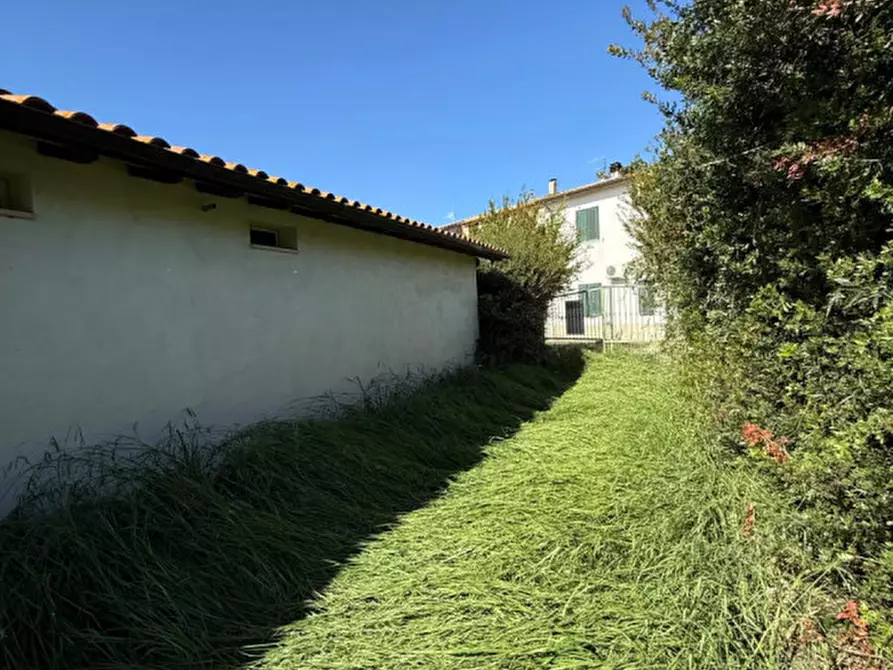 Immagine 6 di Villa in vendita  in Strada del trentatre a Capalbio