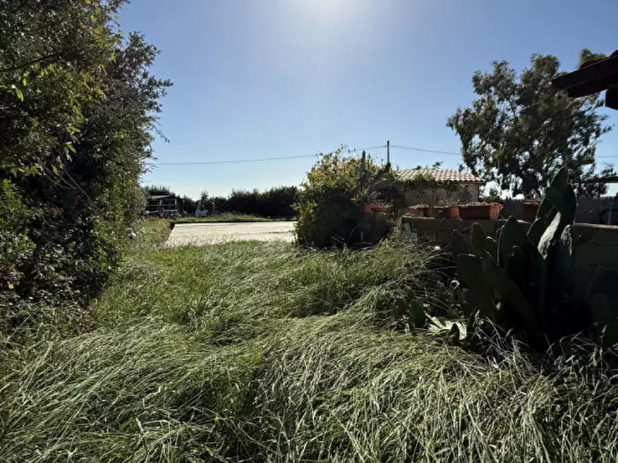 Immagine 7 di Villa in vendita  in Strada del trentatre a Capalbio