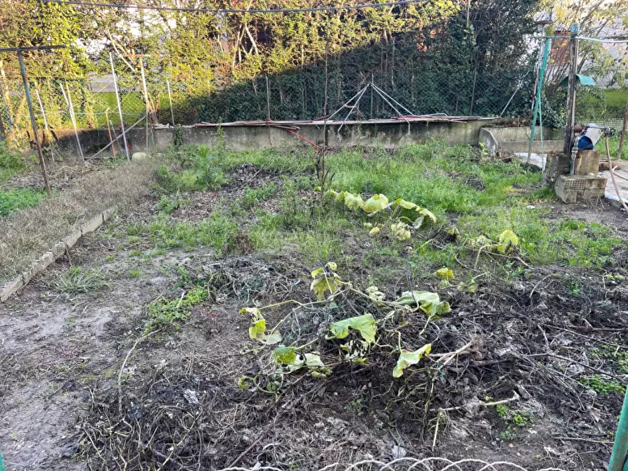 Immagine 28 di Appartamento in vendita  a Suzzara