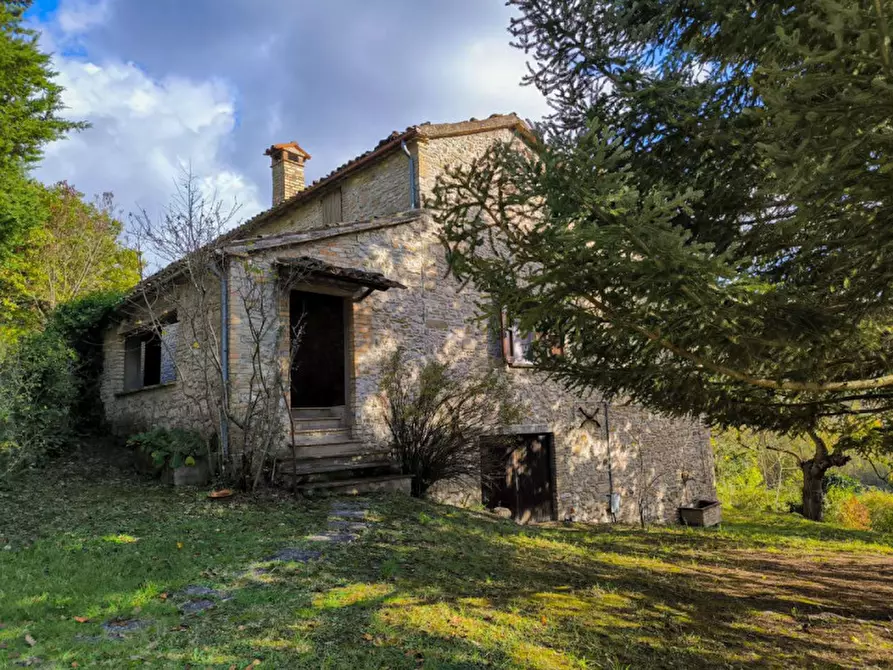 Immagine 1 di Casa indipendente in vendita  in Località Casino Leandri a Piandimeleto