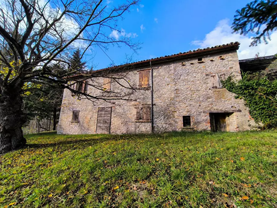 Immagine 2 di Casa indipendente in vendita  in Località Casino Leandri a Piandimeleto