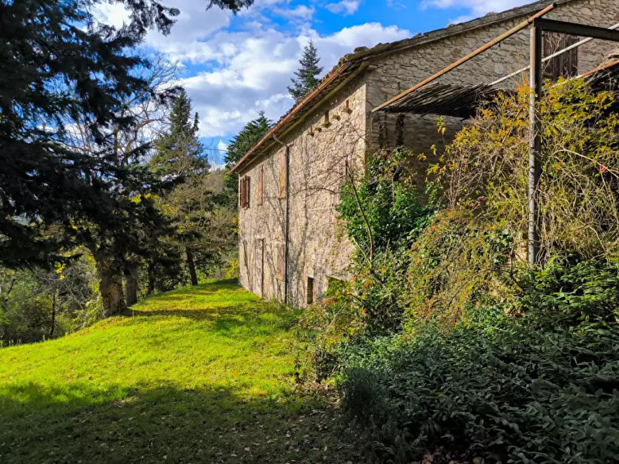 Immagine 3 di Casa indipendente in vendita  in Località Casino Leandri a Piandimeleto