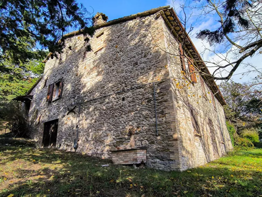 Immagine 4 di Casa indipendente in vendita  in Località Casino Leandri a Piandimeleto