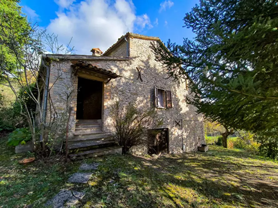 Immagine 6 di Casa indipendente in vendita  in Località Casino Leandri a Piandimeleto