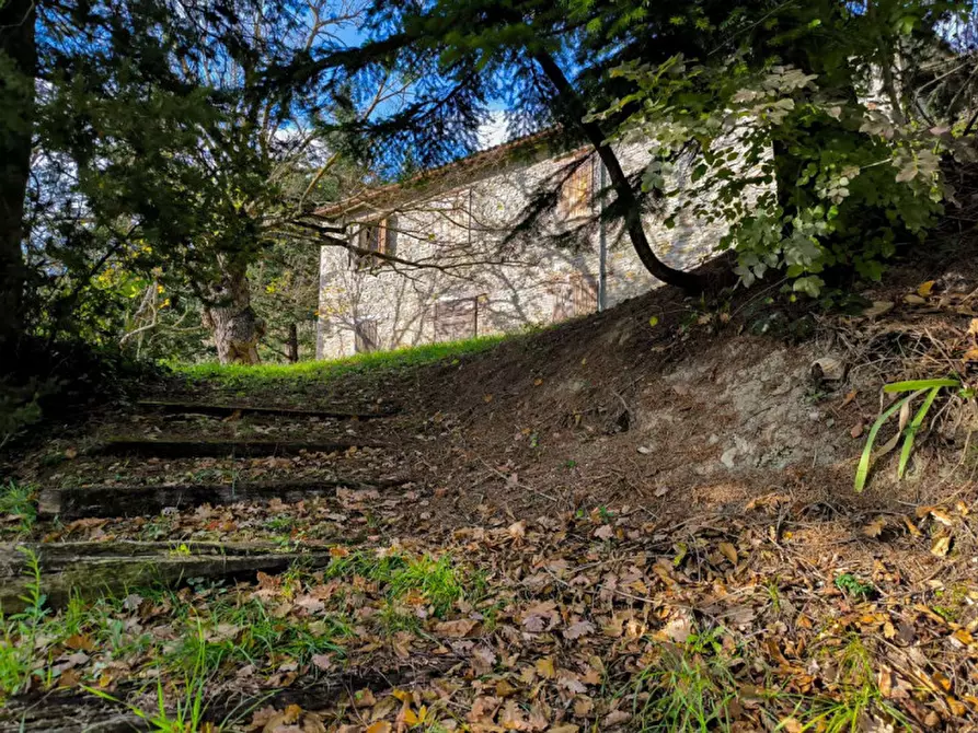Immagine 7 di Casa indipendente in vendita  in Località Casino Leandri a Piandimeleto