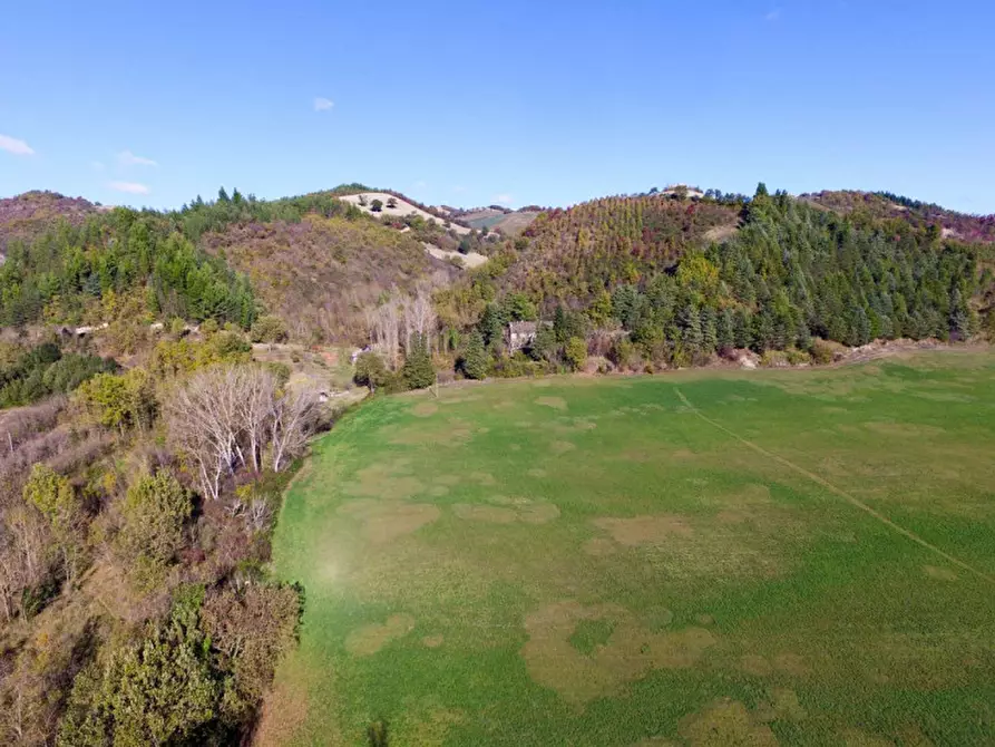 Immagine 25 di Casa indipendente in vendita  in Località Casino Leandri a Piandimeleto