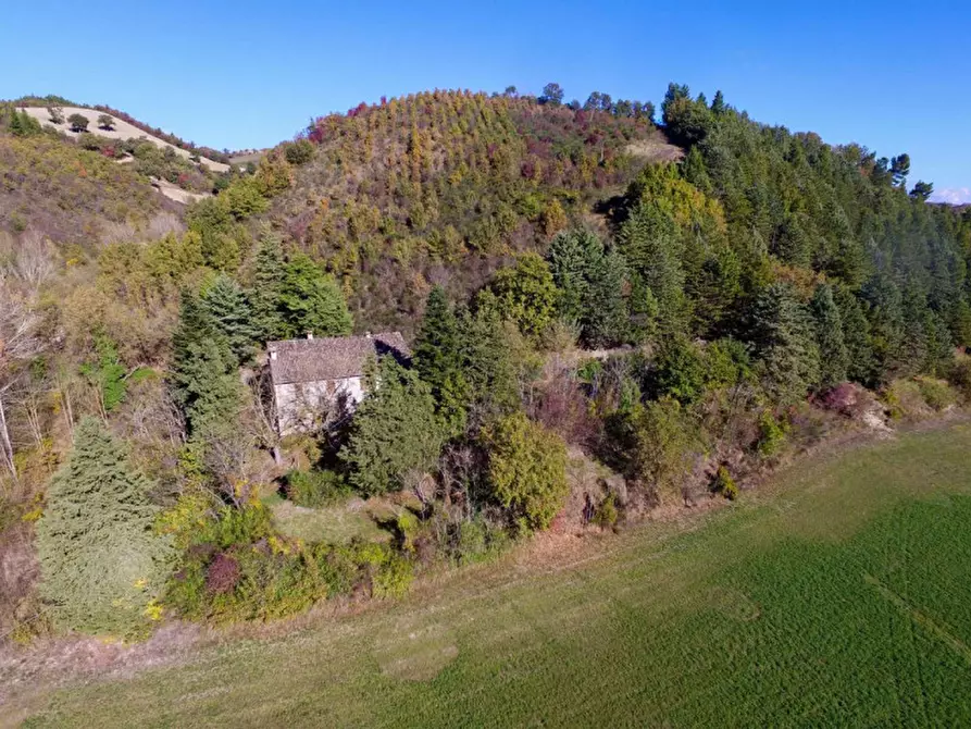 Immagine 26 di Casa indipendente in vendita  in Località Casino Leandri a Piandimeleto